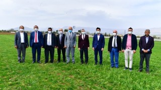 Yeşilyurt Belediyesi Tarımsal Üretim Ve Ar-Ge Sahasında Üretimler Hız Kazandı