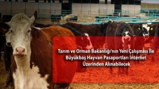 Yetiştiricilere Dijital Ortamdan Hayvan Pasaportu Alma Fırsatı