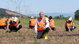 Ata Tohumları toprakla buluşturuldu