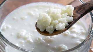 Bağışıklığı Güçlendirmede Kefir Mucizesi