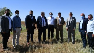 CHP Heyeti, Konya ve Karaman'da kuraklık mağduru çiftçilerle buluştu