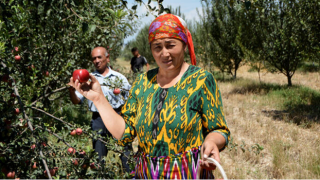 FAO, sağlıklı beslenme maliyetlerini ayrıntılı olarak ele alıyor