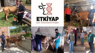 Giresun’da Suni Tohumlama Projesi “ETKİYAP” Başladı