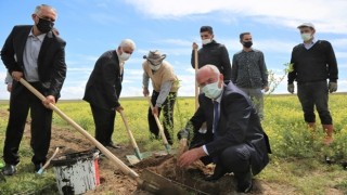 Tuşba’da Ceviz Ve Badem Fidanları Toprak İle Buluşturuluyor