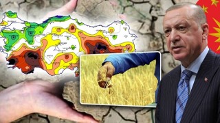 Cumhurbaşkanı Erdoğan’dan Çiftçilerimize Müjde…