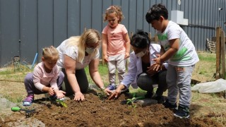 Kartallı Minikler, Yerli Ve Organik Tarımın Önemini Hobi Bahçelerinde Öğreniyor