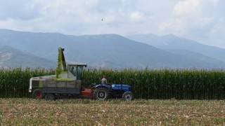 Küresel gıda fiyatları Mayıs’ta hızlı yükseldi