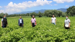 Murat: Patates ve Hububatların Gelişimleri Mutluluk Verici