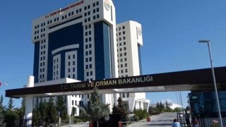 Tarım ve Orman Bakanlığından NBŞ Açıklaması “Kota yükseltilmedi”