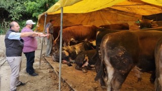 Kurban Satış Yerlerinde Gerekli Tedbirler Alınıyor