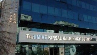 TKDK 2021’in 6 ayında girişimcilere 660,7 milyon TL hibe ödemesi yaptı