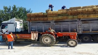 Bodrum Belediyesi Yangın Mağdurlarına Destek Olmaya Devam Ediyor