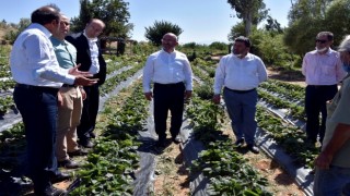 KOP Destekli Kalkınma Projeleri Yerinde İncelendi