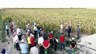 KOP’un Yenilikçi Projesi Tarla Günü Etkinliğiyle Tanıtıldı