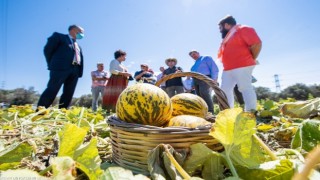 Çeşme kavunu tescillendi