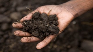 Eti Burçak ve Wwf-Türkiye “Sağlıklı Toprak Hareketi” başlatıyor!