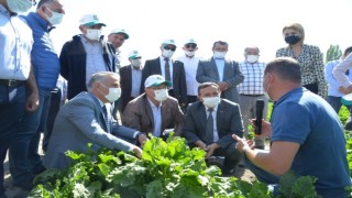 Kayseri Şeker’de Tarla Günleri Başladı