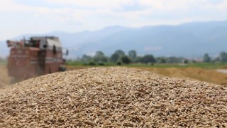 Tarımsal Girdi Fiyat Endeksi yıllık en yüksek seviyesine ulaştı