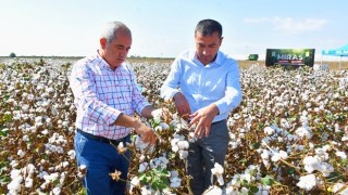 Tarsus’ta Beyaz Altın'ın Hasadı Yapıldı