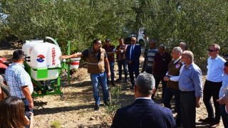 Zeytin Sineğine Karşı Doğa Dostu Mücadele Yöntemi