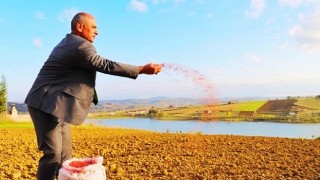 300 Çiftçiye 30 Ton Buğday Tohum Desteği