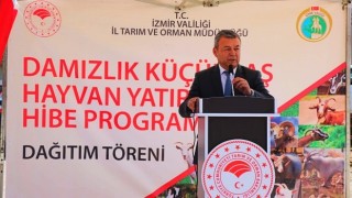 İzmirli Yetiştiricilere 4 bin 800 Küçükbaş Hayvan Hibe Edildi