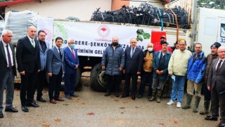 Kivi Bahçelerinin Tesisinde Kurulacak Malzemelerin Dağıtımı Yapıldı