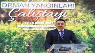 Pakdemirli: Yanan Alanları Tekrar Ağaçlandırarak, Yeşil Vatan'ın Bir Parçası Haline Getireceğiz