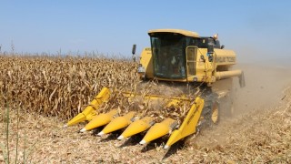 Tarımsal girdi fiyat endeksi Ağustosta yıllık yüzde 28,74 arttı