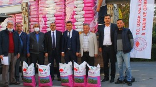 62 Ton Yem Bezelyesi Tohumu Dağıtımı Yapıldı