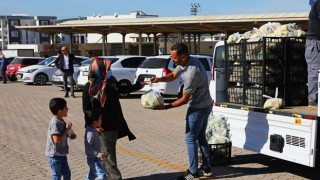 Bodrum Belediyesi Üreticiye Destek Olmaya Devam Ediyor