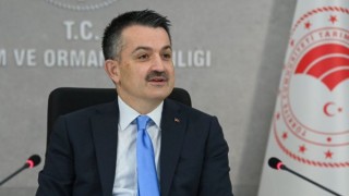 Doğu Anadolu Bölgesi Hayvancılığımızın Lokomotif Bölgesi