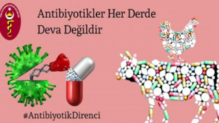 Farkındalığı yaygınlaştır, Antibiyotik direncini durdur