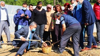 İl Müdürü Özen "Salep Üretimini İzmir'de Yaygınlaştırıyoruz"