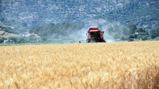 Rusya’nın vergi hamlesi buğday fiyatlarını uçurdu