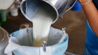 Süt Sektörü Sıkıntı İçinde