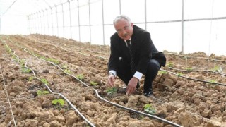 Tarım Projesi 72 Milyon Lira Kazandırdı