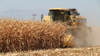Tarımsal girdi fiyat endeksi Eylülde yıllık yüzde 27,79 arttı