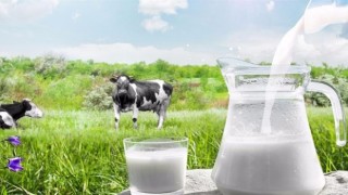 Ticari süt işletmelerince Eylül ayında 785 bin 162 ton inek sütü toplandı