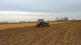 Yüzde 50 Hibeli 152 Ton Buğday Tohumu Dağıtıldı