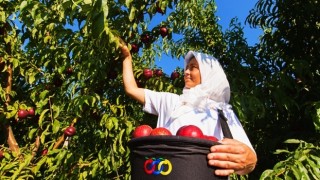 Anadolu Etap Üçüncü Sürdürülebilirlik Raporunu Yayınladı