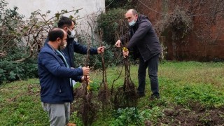 Çiftçiler Sertifikalı ve Kaliteli Meyve Fidanları İle Buluştu…