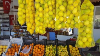 FAO ve Antalya Tarım Konseyi, 2021 Uluslararası Meyve ve Sebze Yılı'nı (IYFV) mercek altına alıyor