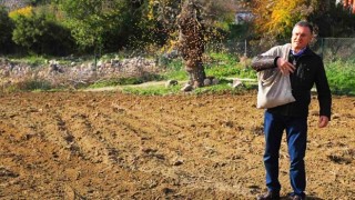 Hatay Büyükşehirden Üretime Destek Hasada Bereket