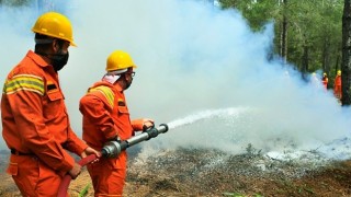 Orman yangınlarıyla gönüllü mücadele: Hedef 100 bin gönüllü