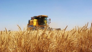 Tarımsal girdi fiyat endeksi Kasım 2021'de yıllık yüzde 36,2 arttı