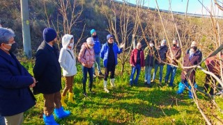 Altınova’lı Çiftçilere Budama Eğitimi Verildi