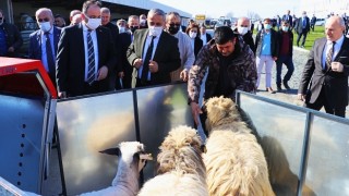 Koyunlar İçin Püskürtmeli Seyyar Banyoluk Projesi Dağıtım Töreni