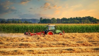 Tarımsal Girdi Fiyatları Yıllık Yüzde 46 Arttı
