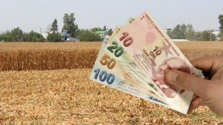 Bolu’lu Çiftçilere 20 Milyon Destek Ödemesi
